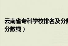 云南省?？茖W(xué)校排名及分?jǐn)?shù)線（2022云南省專科院校排名及分?jǐn)?shù)線）