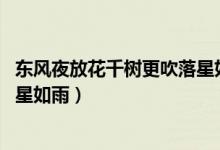 東風(fēng)夜放花千樹(shù)更吹落星如雨譯文（東風(fēng)夜放花千樹(shù) 更吹落星如雨）