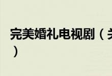 完美婚禮電視?。P(guān)于完美婚禮電視劇的介紹）