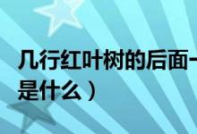 幾行紅葉樹(shù)的后面一句（幾行紅葉樹(shù)的下一句是什么）