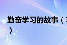 勤奮學習的故事（3個關于勤奮學習的小故事）
