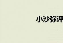 小沙彌評(píng)新股(小沙)