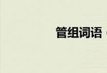 管組詞語（漢字管組詞）