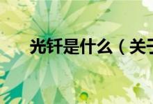 光釬是什么（關于光釬是什么的介紹）