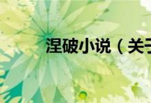 涅破小說（關(guān)于涅破小說的介紹）
