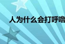 人為什么會打呼嚕（人為什么會打呼嚕）