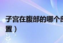 子宮在腹部的哪個(gè)部位（子宮在腹部的哪個(gè)位置）