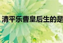 清平樂(lè)曹皇后生的是誰(shuí)（曹皇后沒(méi)有生孩子）