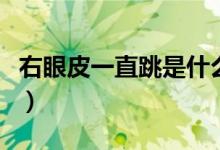 右眼皮一直跳是什么預(yù)兆（為什么會右眼皮跳）