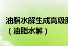 油脂水解生成高級(jí)脂肪酸和甘油的化學(xué)方程式（油脂水解）