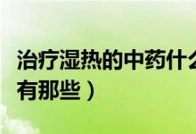 治療濕熱的中藥什么時(shí)候吃（治療濕熱的中藥有那些）