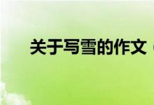 關(guān)于寫(xiě)雪的作文(有關(guān)雪的作文范文)
