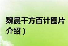 魏晨千方百計圖片（關于魏晨千方百計圖片的介紹）