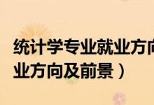 統(tǒng)計學(xué)專業(yè)就業(yè)方向就業(yè)前景（統(tǒng)計學(xué)專業(yè)就業(yè)方向及前景）
