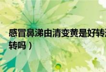 感冒鼻涕由清變黃是好轉還是嚴重（感冒鼻涕由清變黃是好轉嗎）