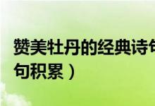 贊美牡丹的經(jīng)典詩(shī)句大全（贊美牡丹的經(jīng)典詩(shī)句積累）