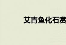 艾青魚(yú)化石賞析（艾青魚(yú)化石）