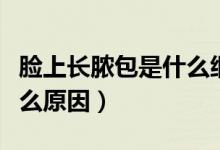 臉上長(zhǎng)膿包是什么細(xì)菌感染（臉上長(zhǎng)膿包是什么原因）