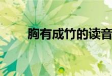 胸有成竹的讀音(胸有成竹的意思)