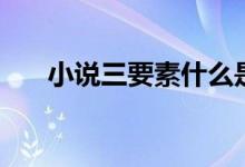 小說三要素什么是核心(小說三要素)