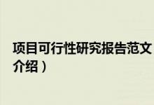 項目可行性研究報告范文（關(guān)于項目可行性研究報告范文的介紹）