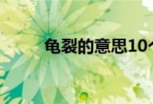 龜裂的意思10個(gè)字(龜裂的意思)