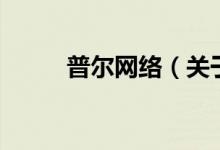 普爾網(wǎng)絡（關于普爾網(wǎng)絡的介紹）