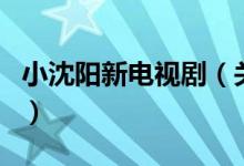 小沈陽新電視?。P(guān)于小沈陽新電視劇的介紹）