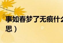 事如春夢(mèng)了無(wú)痕什么意思（春夢(mèng)了無(wú)痕什么意思）