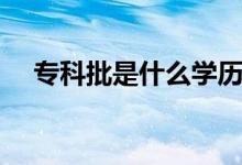 ?？婆鞘裁磳W(xué)歷（專科批是什么意思）