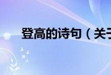 登高的詩句（關(guān)于登高的詩句有哪些）