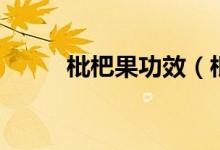 枇杷果功效（枇杷果功效與作用）