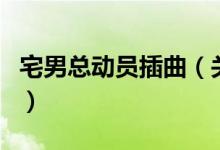 宅男總動員插曲（關(guān)于宅男總動員插曲的介紹）