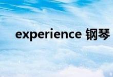 experience 鋼琴（experience可數嗎）