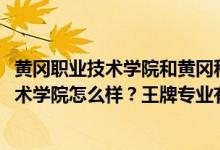 黃岡職業(yè)技術(shù)學(xué)院和黃岡科技職業(yè)學(xué)院（2022年黃岡職業(yè)技術(shù)學(xué)院怎么樣？王牌專業(yè)有哪些？）