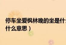 停車坐愛楓林晚的坐是什么意思??(停車坐愛楓林晚的坐是什么意思)