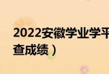 2022安徽學(xué)業(yè)學(xué)平考試成績(jī)查詢(xún)時(shí)間（哪天查成績(jī)）