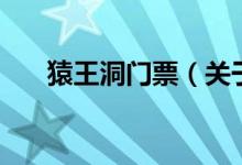 猿王洞門(mén)票（關(guān)于猿王洞門(mén)票的介紹）