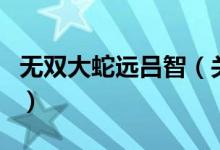 無雙大蛇遠(yuǎn)呂智（關(guān)于無雙大蛇遠(yuǎn)呂智的介紹）