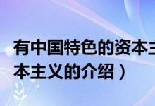 有中國特色的資本主義（關(guān)于有中國特色的資本主義的介紹）