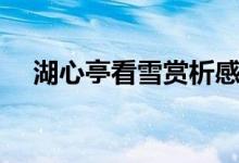 湖心亭看雪賞析感悟（湖心亭看雪賞析）