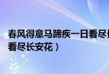 春風得意馬蹄疾一日看盡長安花全詩（春風得意馬蹄疾 一日看盡長安花）