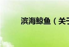 濱海鯨魚（關(guān)于濱海鯨魚的介紹）