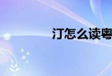 汀怎么讀粵語(yǔ)（汀怎么讀）