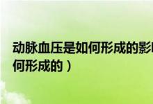 動(dòng)脈血壓是如何形成的影響動(dòng)脈血壓的因素（動(dòng)脈血壓是如何形成的）
