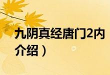 九陰真經(jīng)唐門2內（關于九陰真經(jīng)唐門2內的介紹）