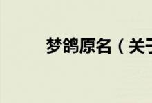 夢鴿原名（關(guān)于夢鴿原名的介紹）