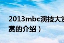 2013mbc演技大賞（關(guān)于2013mbc演技大賞的介紹）