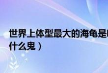 世界上體型最大的海龜是哪一個（世界上體型最大的海龜是什么鬼）