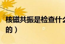 核磁共振是檢查什么的(核磁共振是檢查什么的)